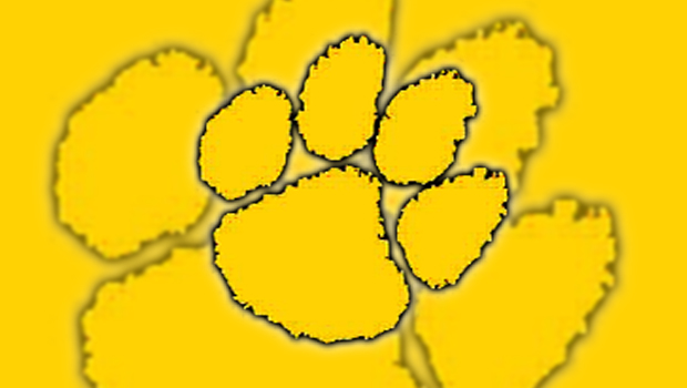 Plainview-Elgin-Millville High School 2017 Graduation Ceremony (May 26, 2017)